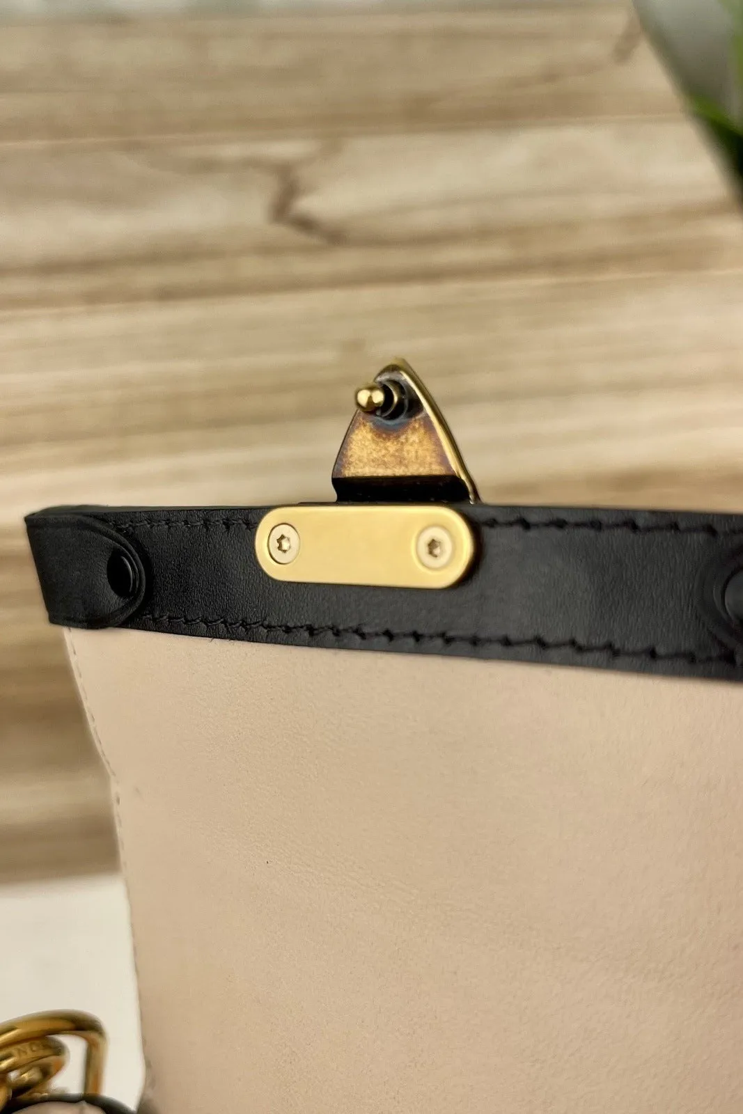 Louis Vuitton Essential Trunk Monogram Bag